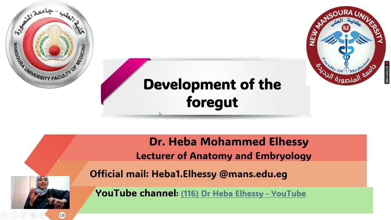 Development of the Foregut