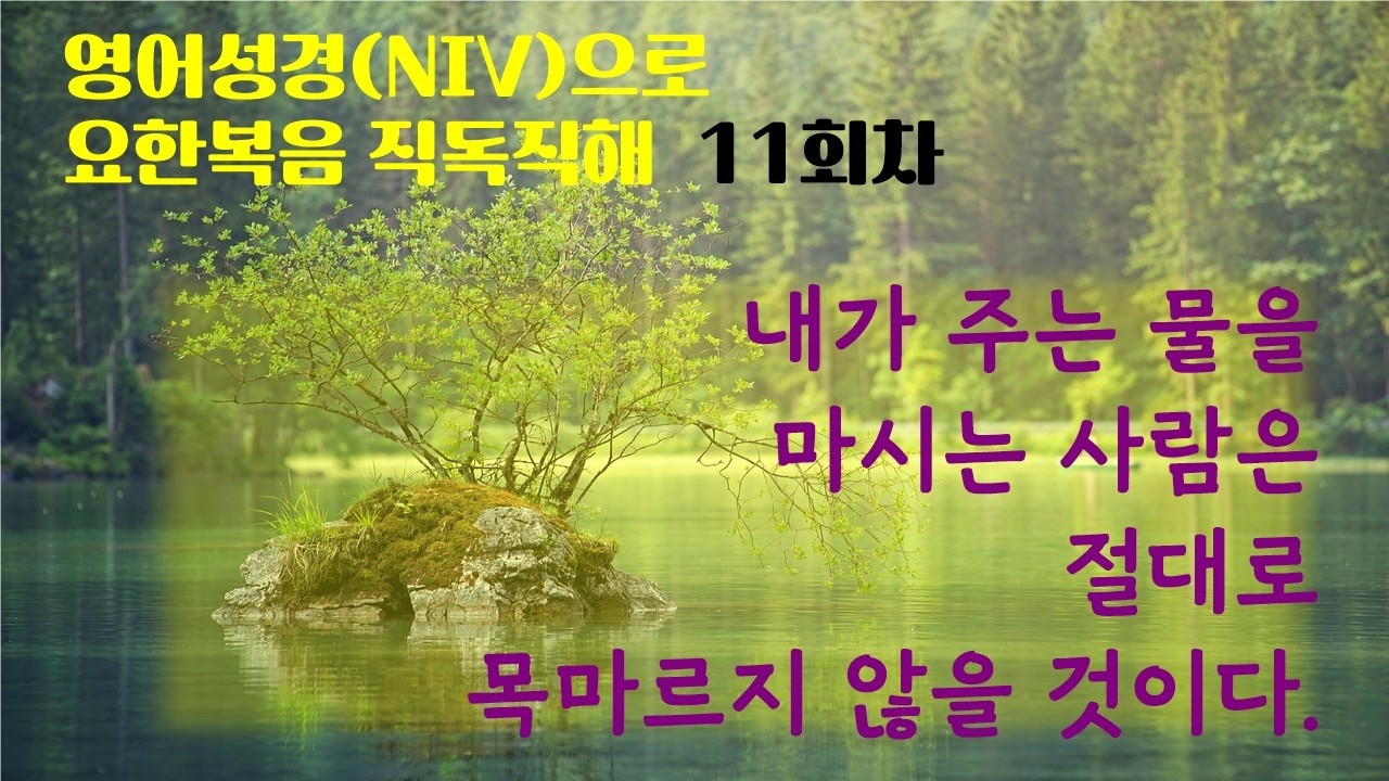 (고급) 11회 요한복음 영어(NIV)로 읽기 | 큰 글씨로 편하게 공부하세요 | 성경으로 익히는 영어 |  내가 주는 물을 마시는 자는 다시 목 마르지 않으리라