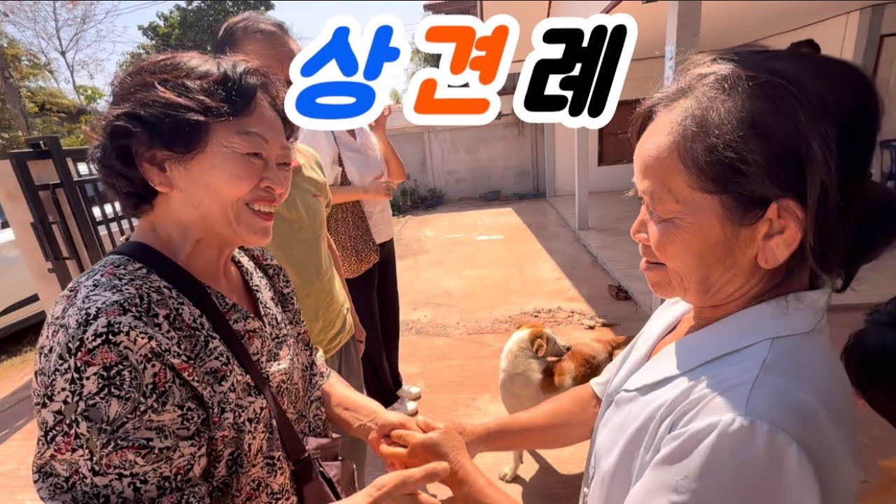 상견례하고 떡만두국 끓여 먹었습니다..