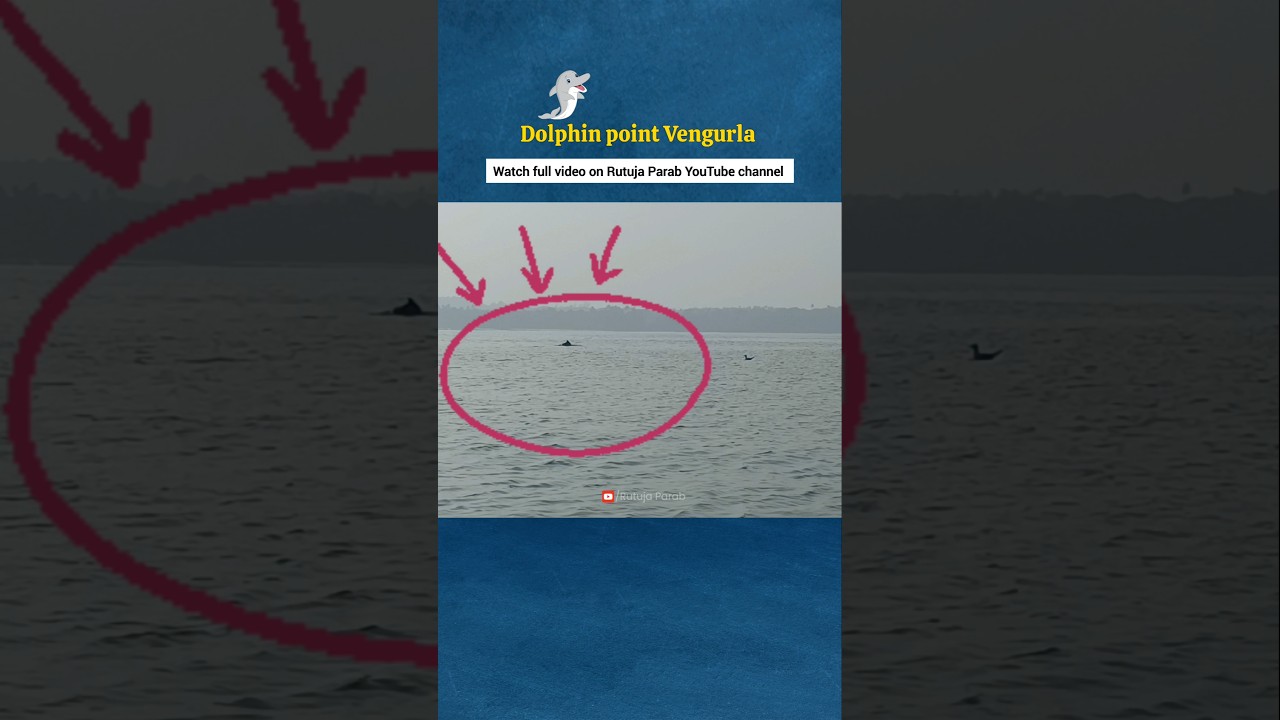 Vengurla Dolphin Point 🐬 | Rutuja Parab Vlog | Kokan trip #kokan #vengurla #dolphin #dolphininsea