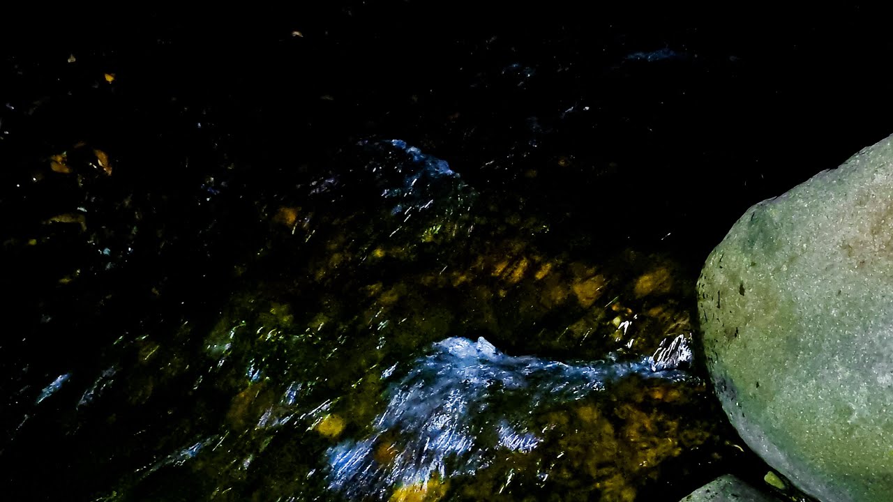 Midnight River ASMR | Sleep Better Tonight | Peaceful Flowing Water for Peaceful Sleeping