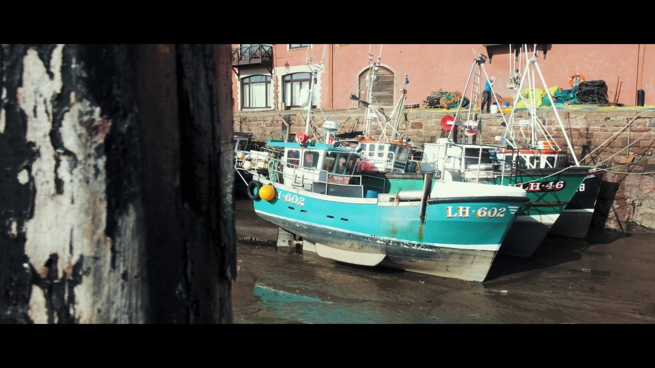 Rockhopper of Percuel: Keeping Things Ship Shape