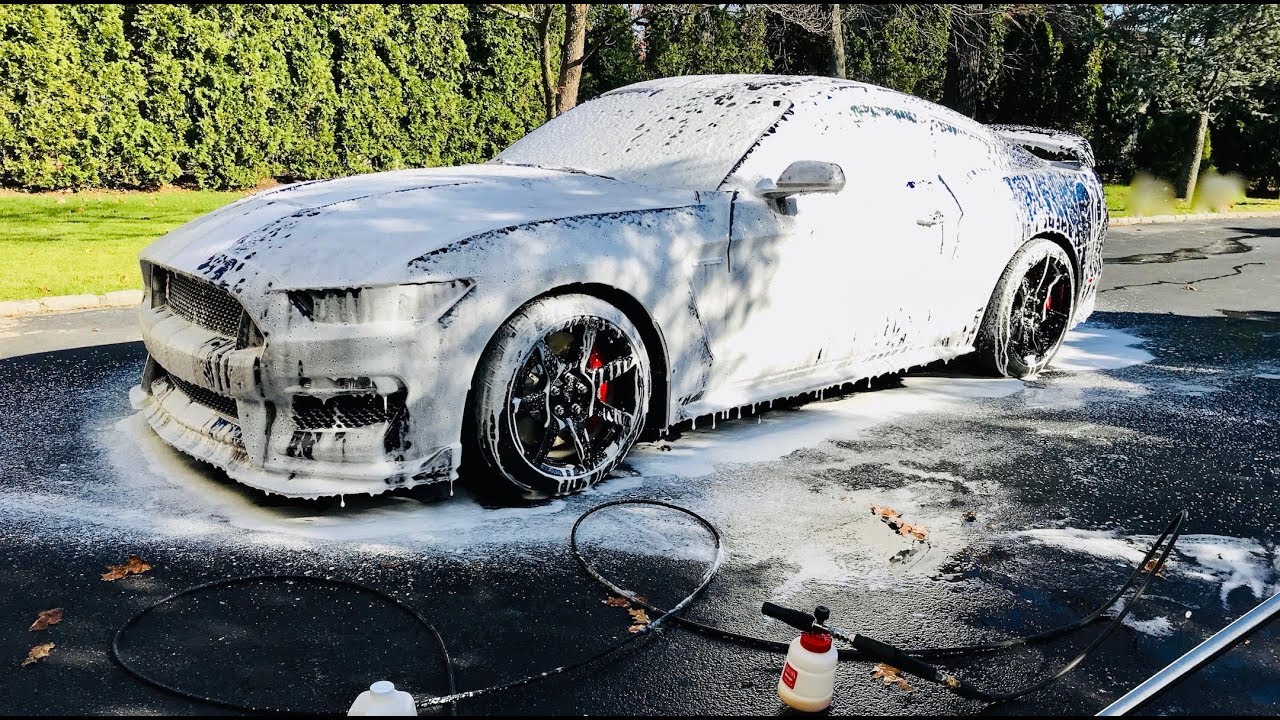Shelby GT350R First WASH & Paint Assessment | Auto Fanatic