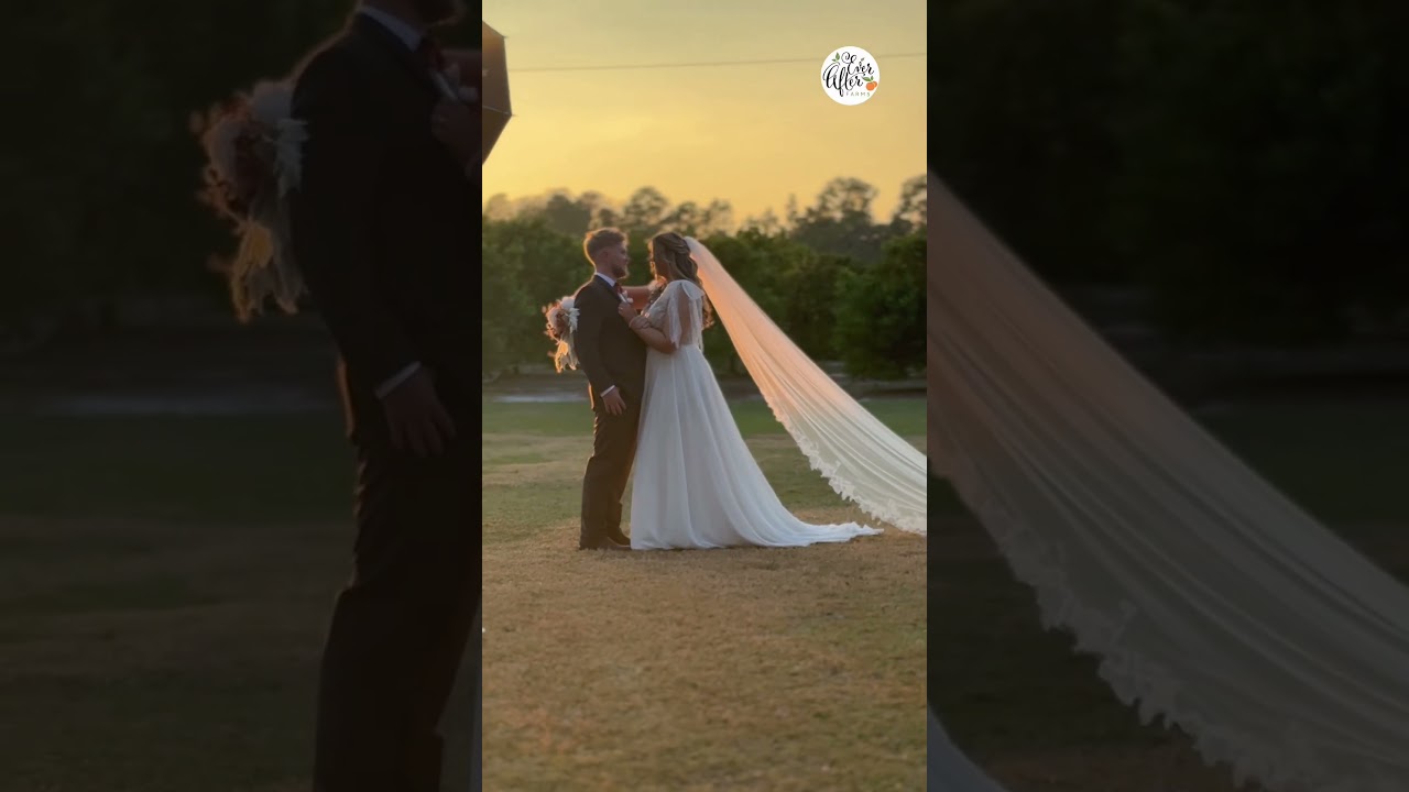 Ever After Farms Citrus Wedding Venue 