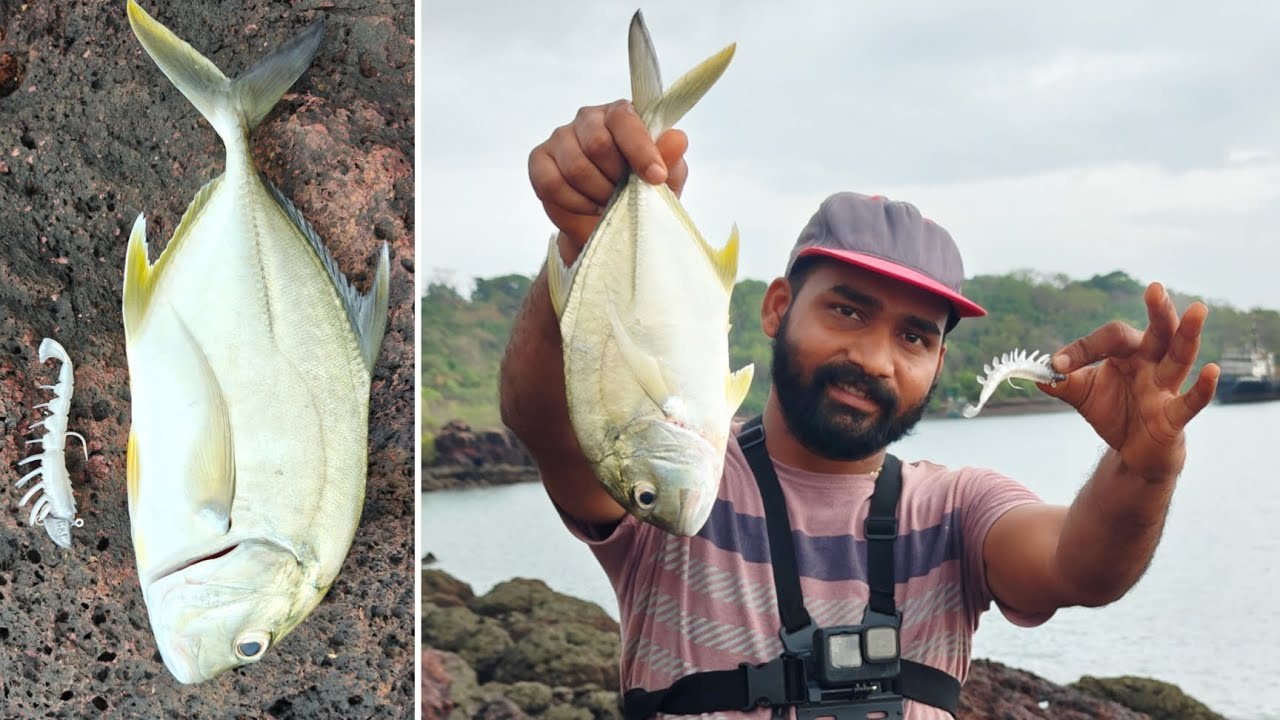 नवीन लुर वरती पकडला कोकर मासा , कोकणातील रॉड फिशिंग | Rod fishing in kokan @TejaGurav