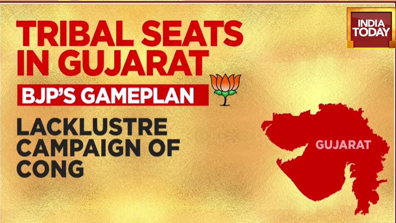 What Is The Gameplan To Win Tribal Seats? | Gujarat Assembly Elections 2022