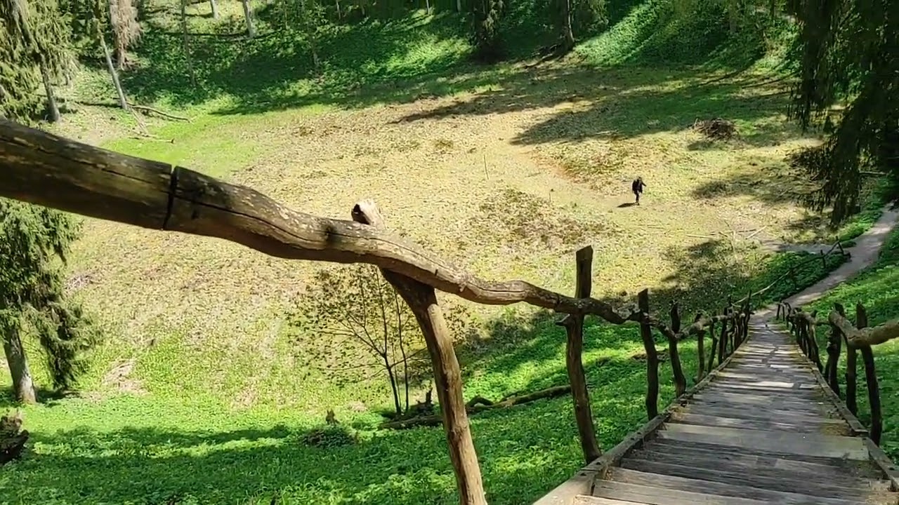 Unikalus gamtos kūrinys 