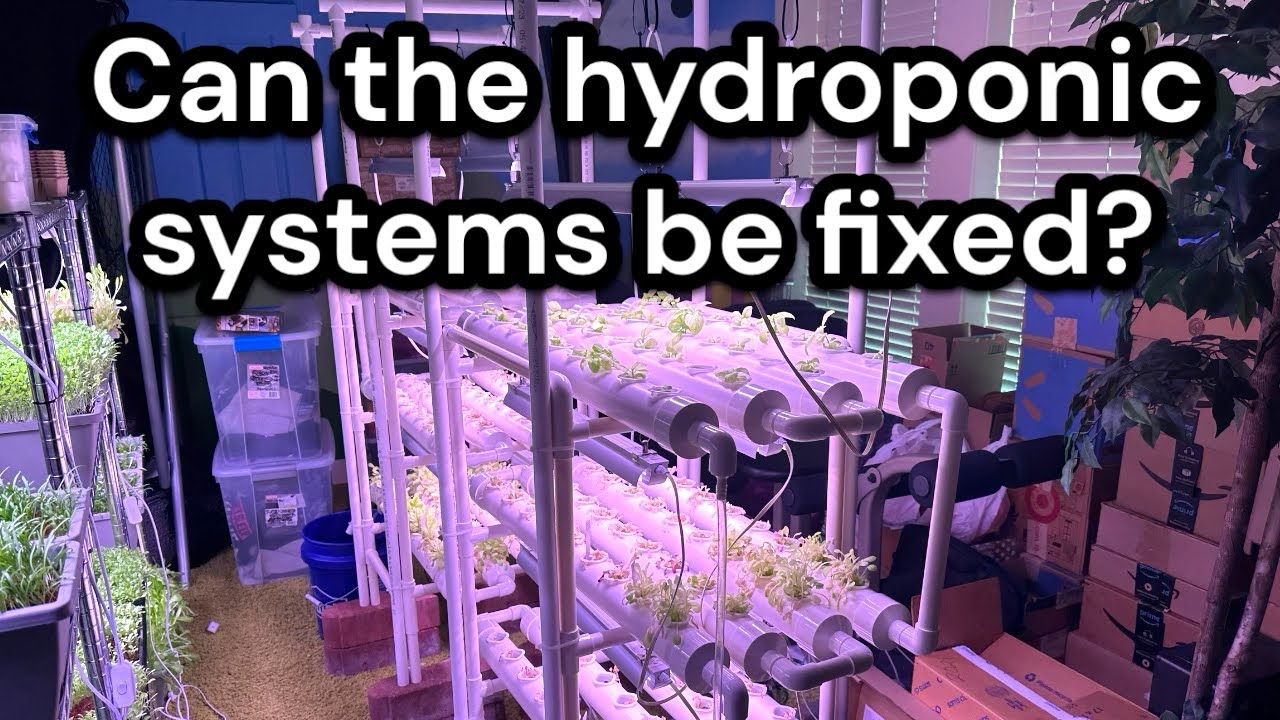 Can the hydroponic systems be fixed?