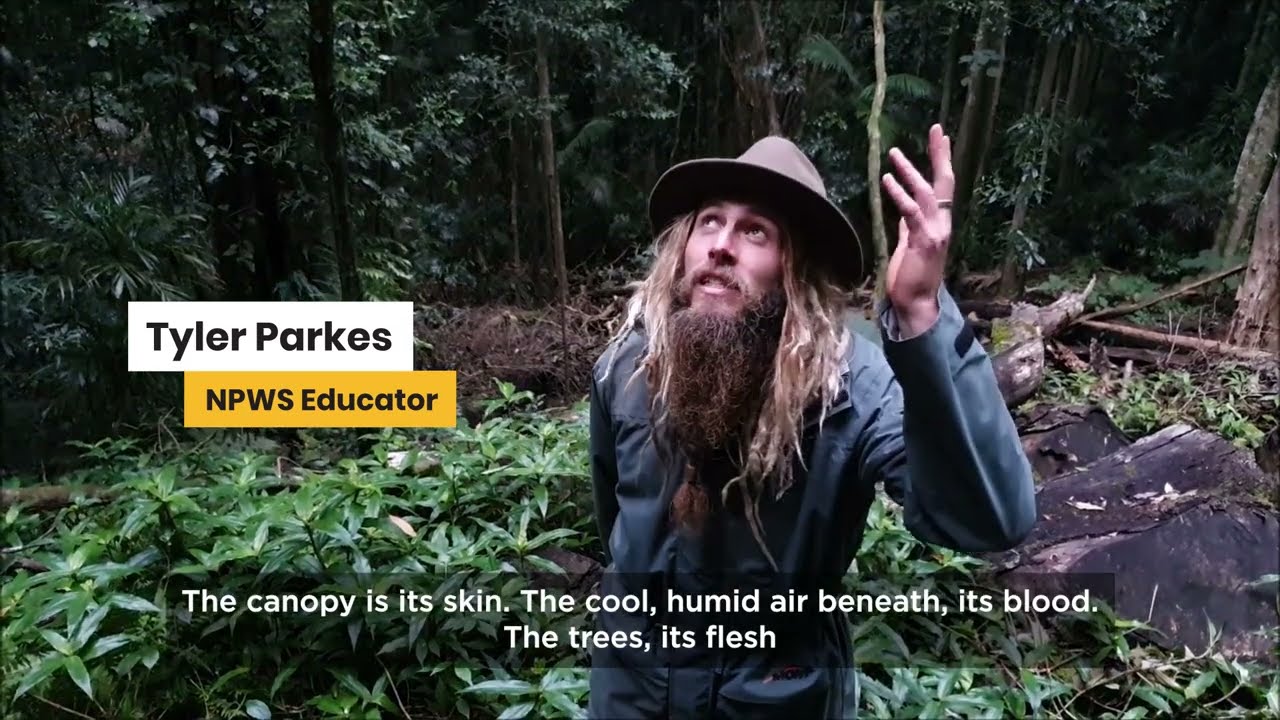 Cycles of Life in Rainforest Part 1 | NSW National Parks