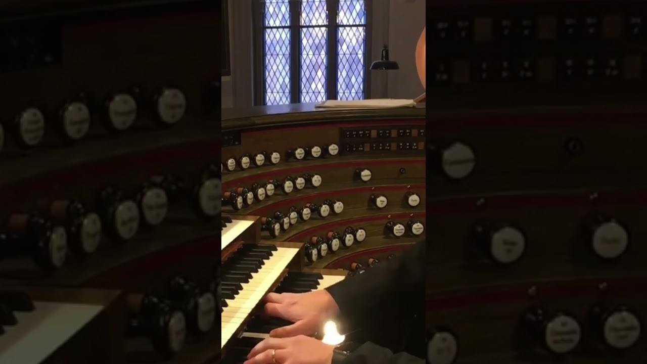 #organ #maxreger #wachetauf #matteoventuriniorganist