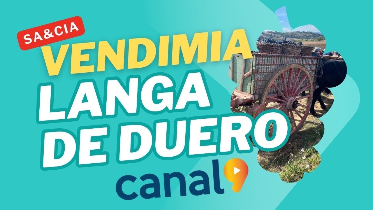 SA&CIA | Reportaje | Jornada de la Vendimia tradicional en Langa de Duero