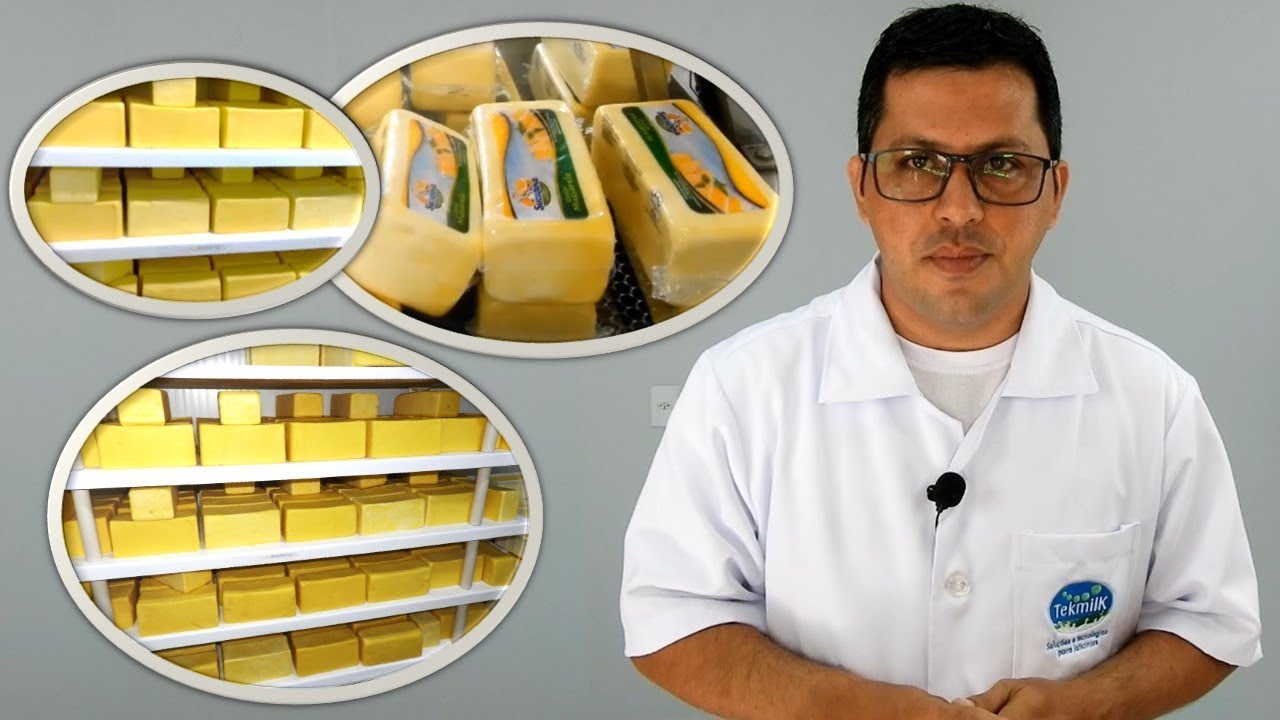 Fabricação do queijo mussarela - como fabricar queijo mussarela - passo a passo como fazer mussarela