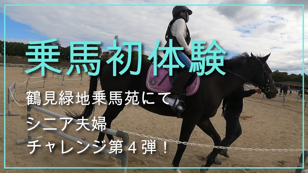 ディープインパクトの息子に乗る／乗馬／４K／シニア夫婦チャレンジ第４弾！