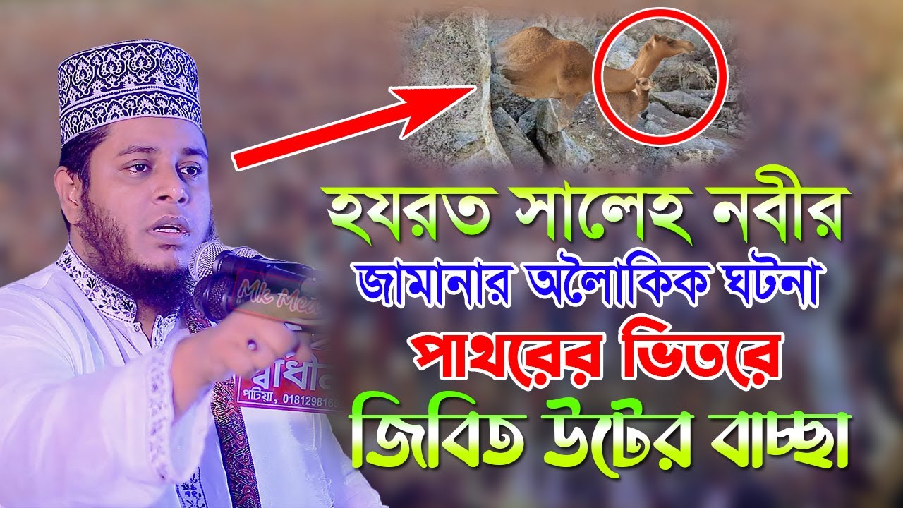 হযরত সালেহ নবীর জামানার অলৈাউকিক ঘটনা পাথরের ভিতর উটের বাচ্ছা | Mufti Alauddin jihadi New Waz 2022 |
