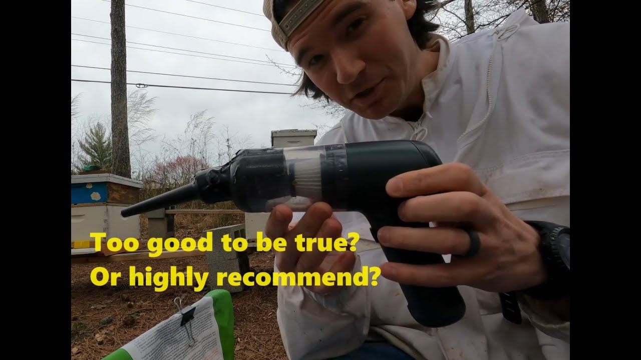 Blasting hive beetles with a Vacuum?  Too good to be true?  2024 season updates (Beekeeping)