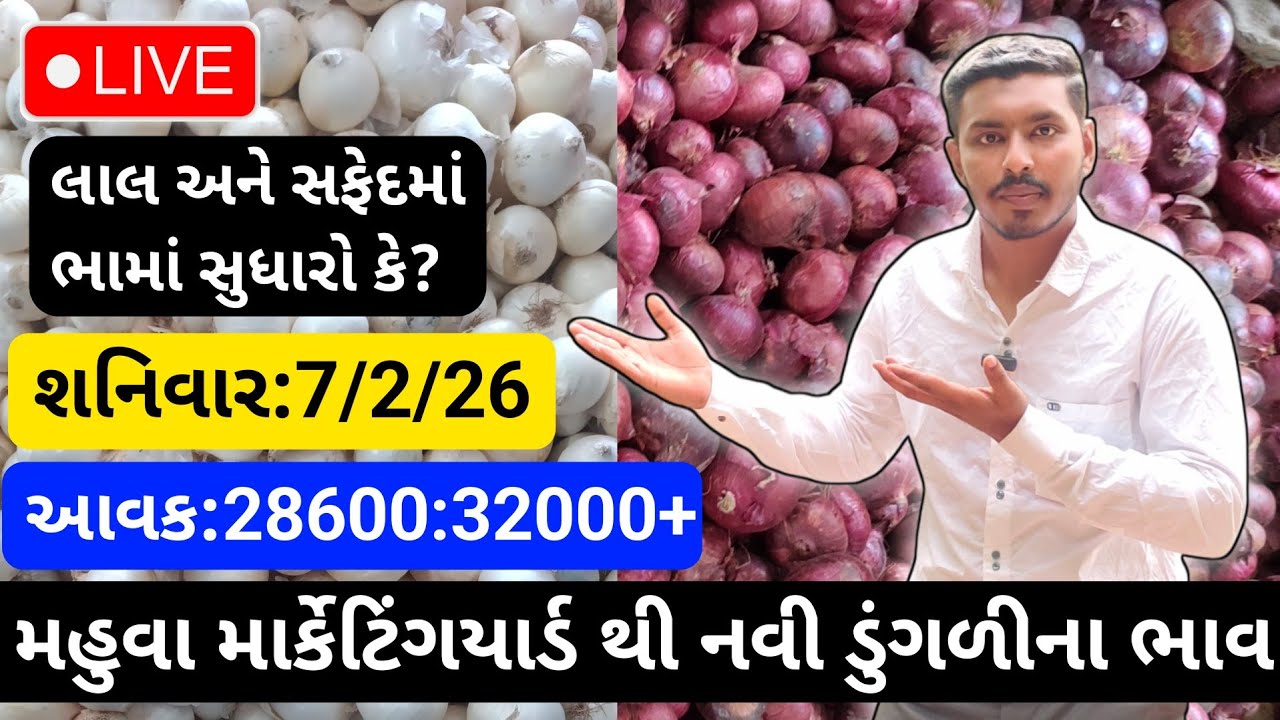 મહુવા થી લાલ અને સફેદડુંગળીના ભાવ🔥| 7/2/26 | White & Red Onion Market Rate Today💸| लाल ओर सफेद भाव🧅