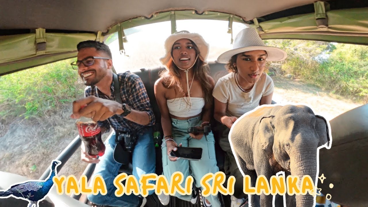 Rollercoaster Safari Adventure: Bumpy Rides & Elephants in Sri Lanka