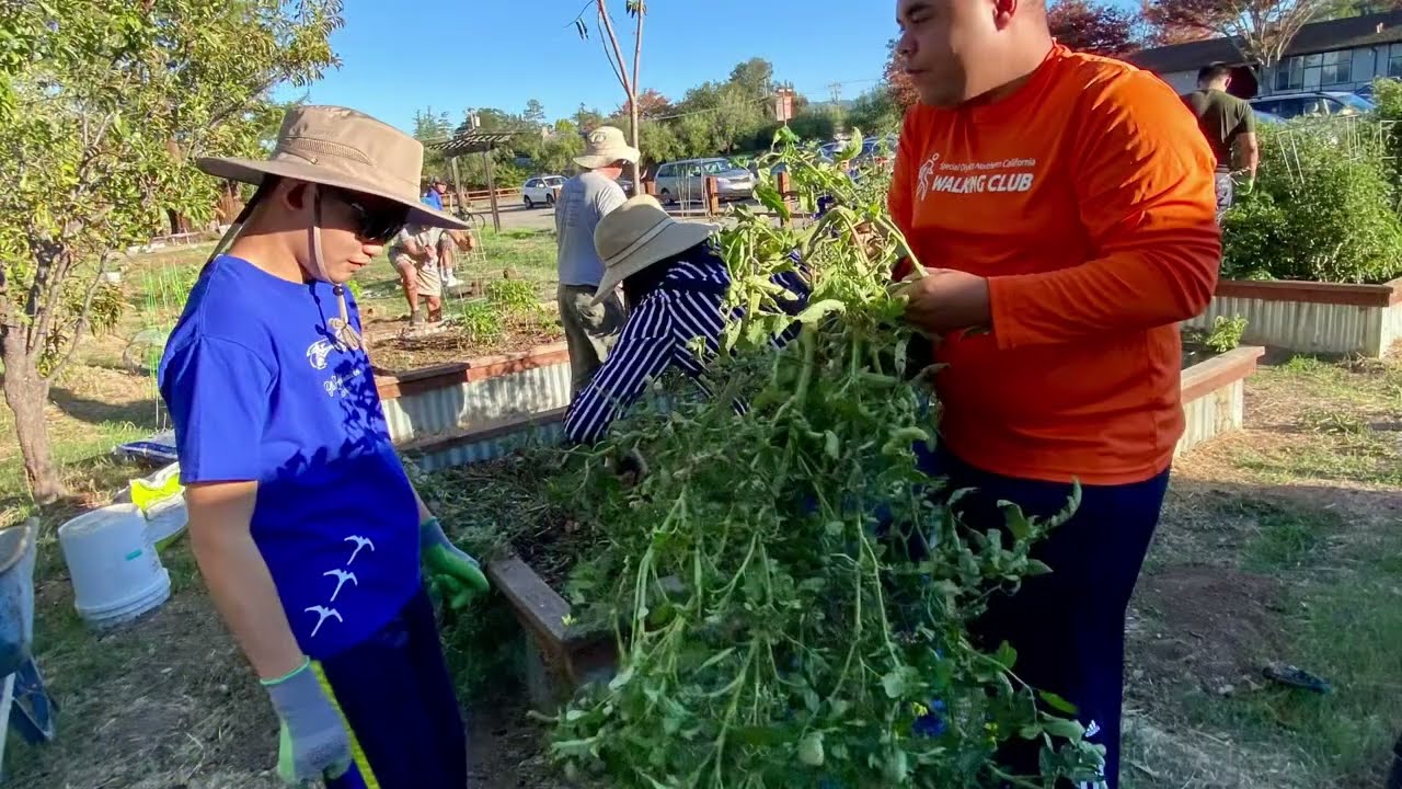 Planting Winter Crops