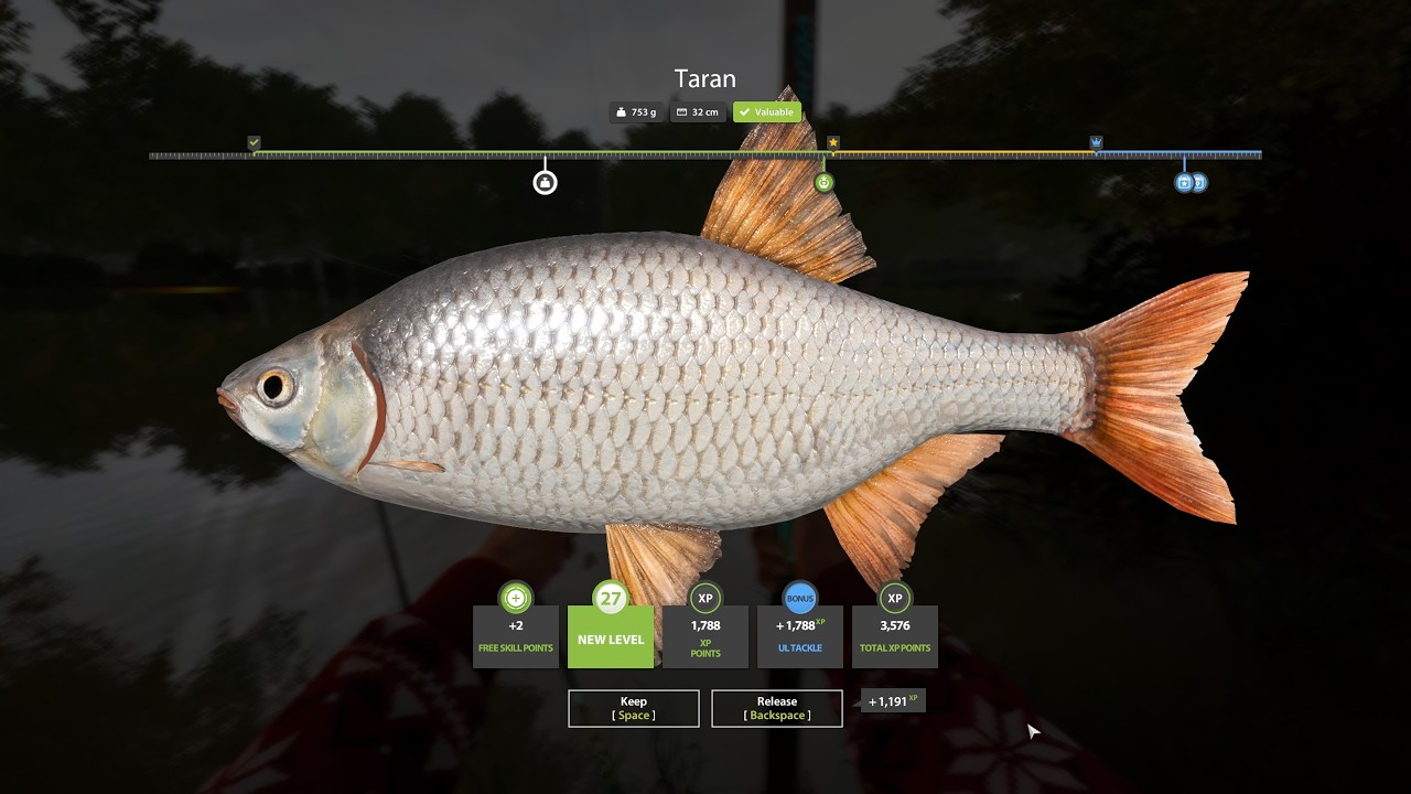 RF4 Fresh Spot // Taran farm (great exp and money) // 270-390 Silver/40min