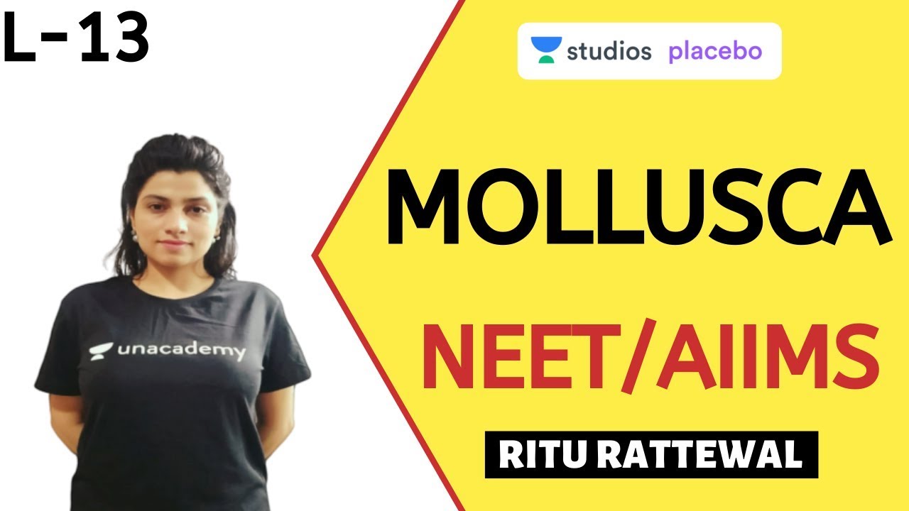 Phoenix 2.0: Biology Most Important Video for NEET 2025 | Udaan