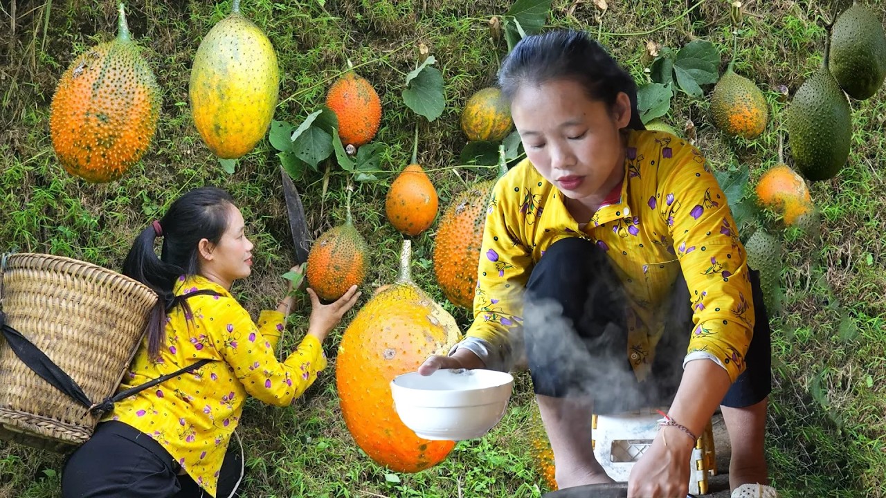 Harvesting Gac Fruit from Garden, Making Xôi Gấc & Digging Cassava Roots for Pig Feed