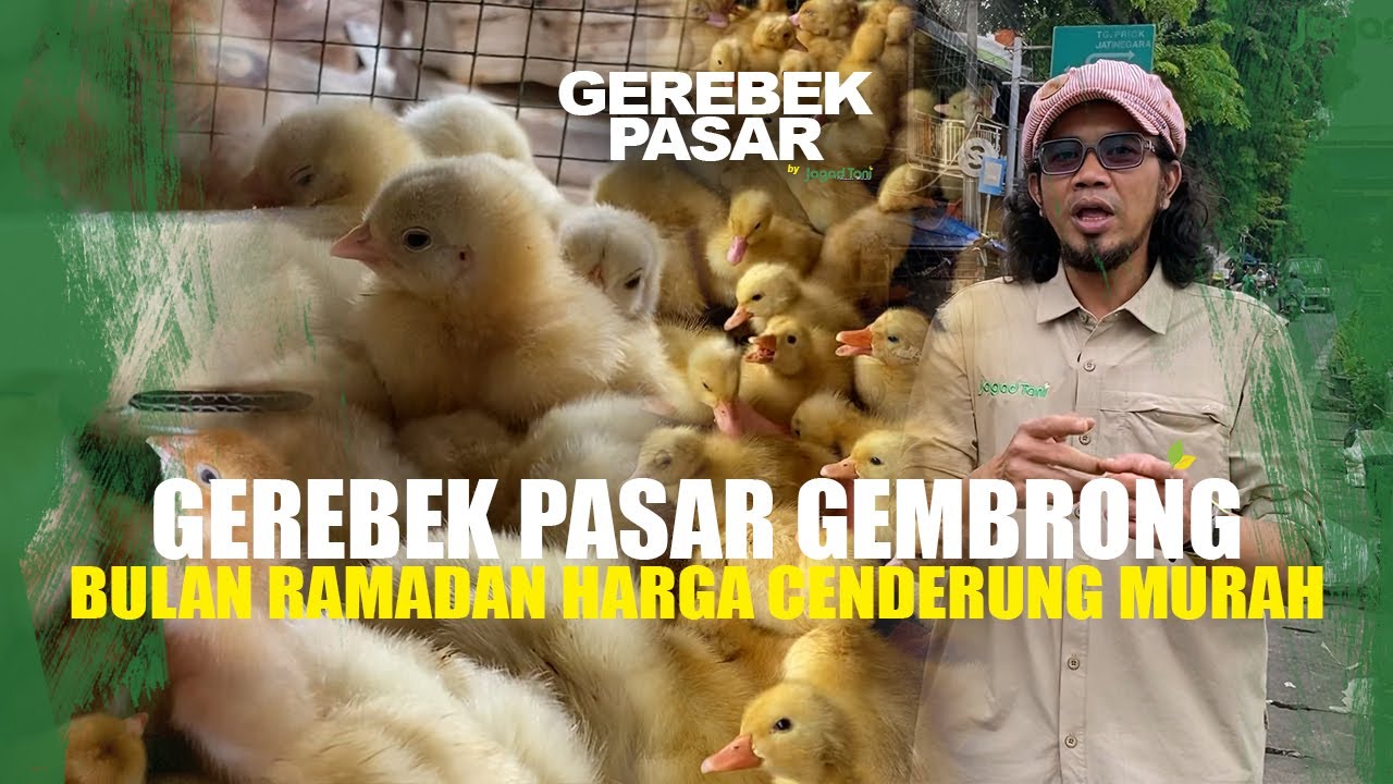 GEREBEK PASAR GEMBRONG BULAN RAMADAN, HARGA DOC DOD LEBIH MURAH