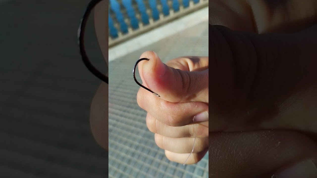 cosas de la pesca 😶&zwj;🌫️ #pesca #pesca #sepia #xxl #humor #pulpo #viral #foryou