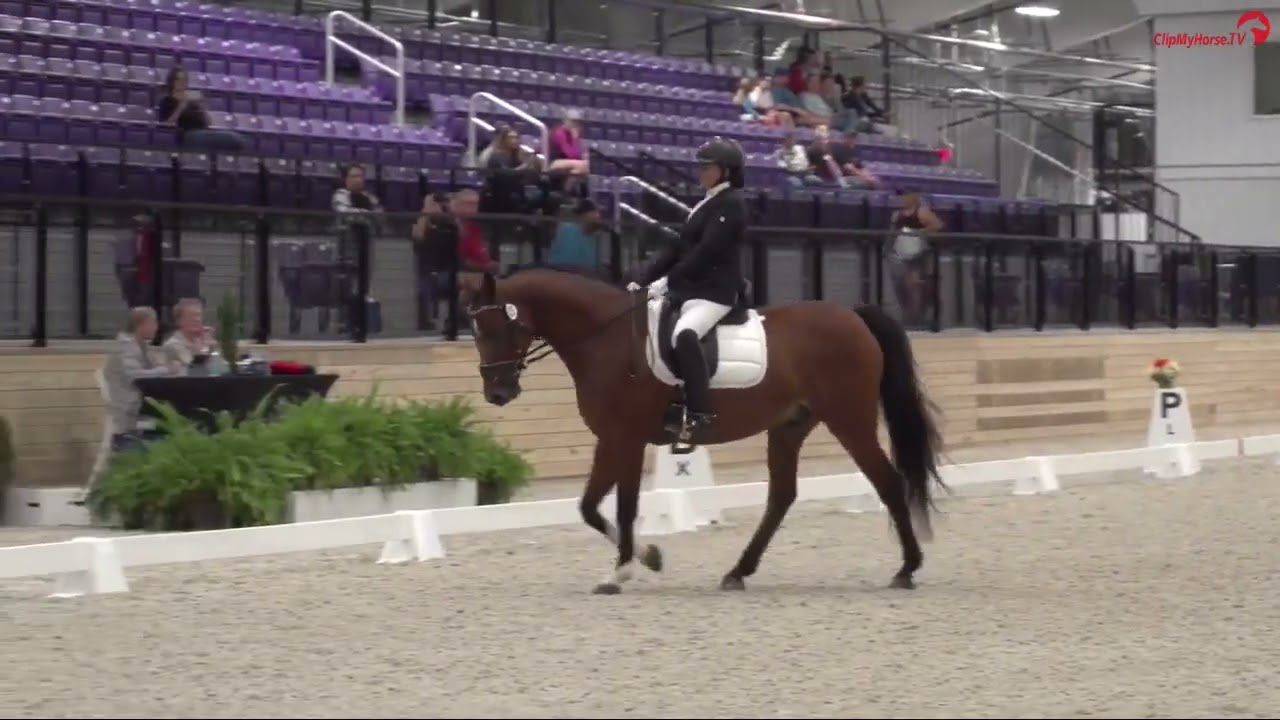 USDF Region 3 Championship - Passe Partout and Tracy Ramirez
