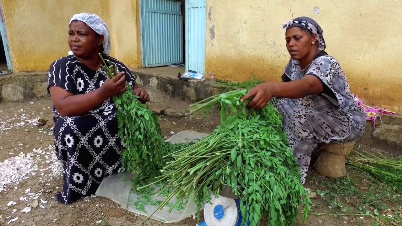 Chi ha i denti non ha il pane