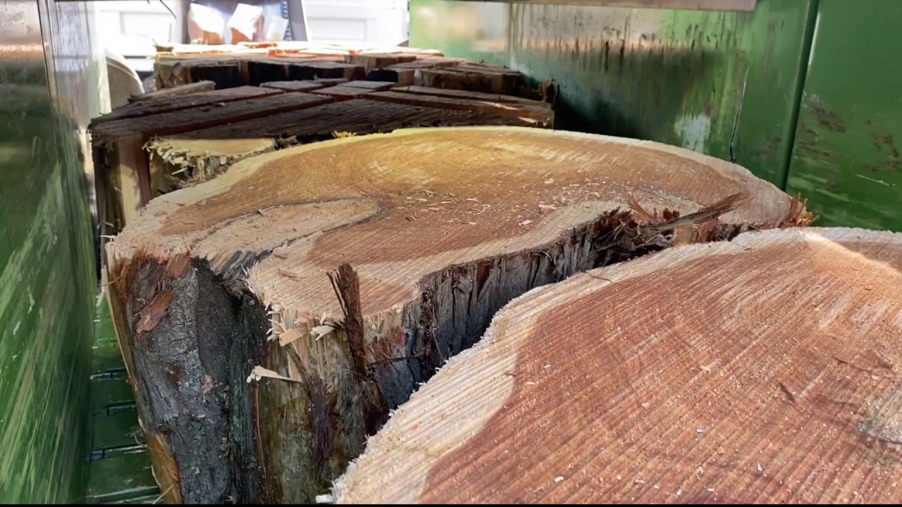 TM 1200 + TB 900 - Pezzolato firewood equipment to cut and split large diameter logs