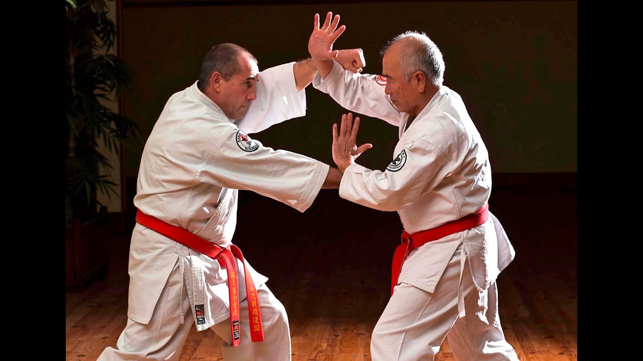 IMCF-Aïki Jutsu Yamaue Combat System