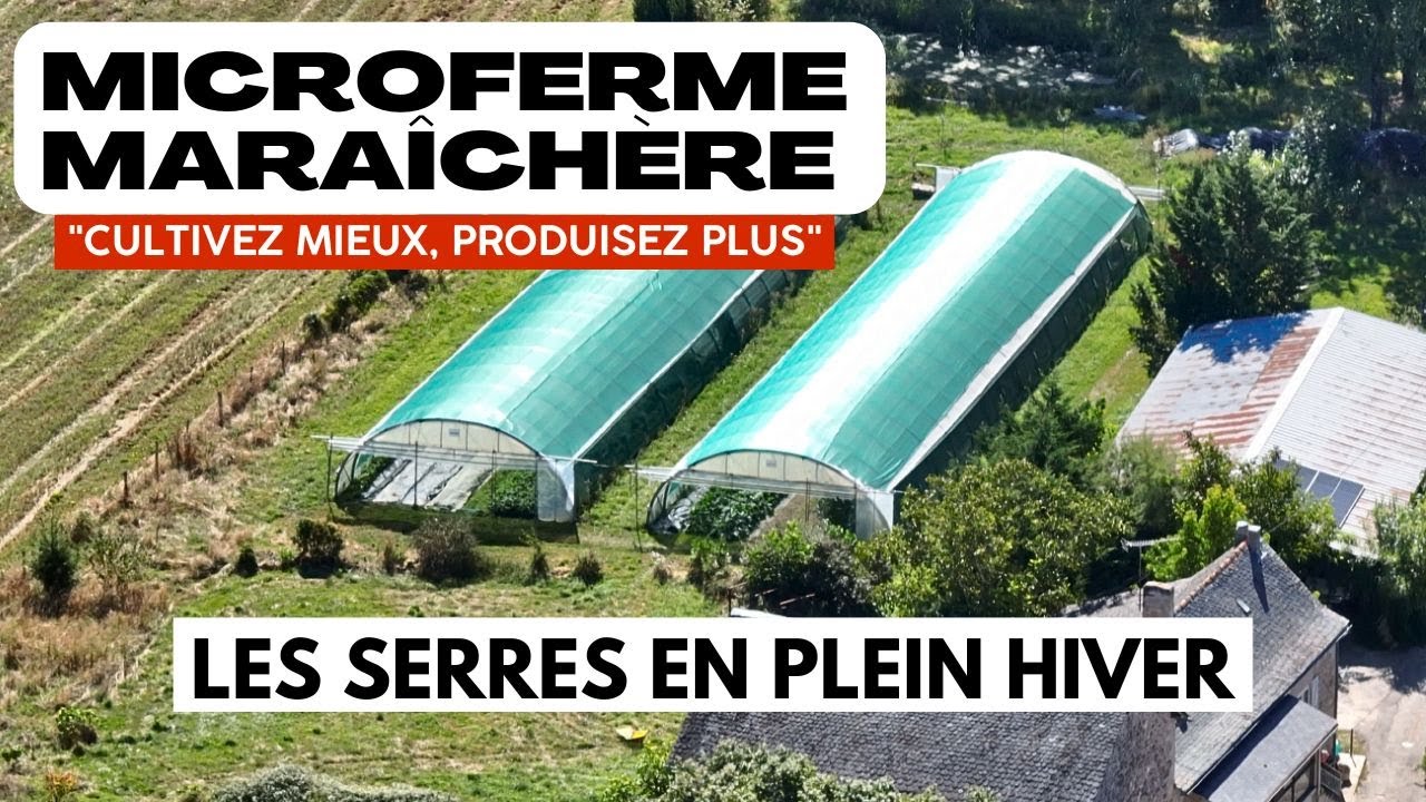 Serre en plein hiver : astuces et bonnes pratiques pour réussir vos cultures