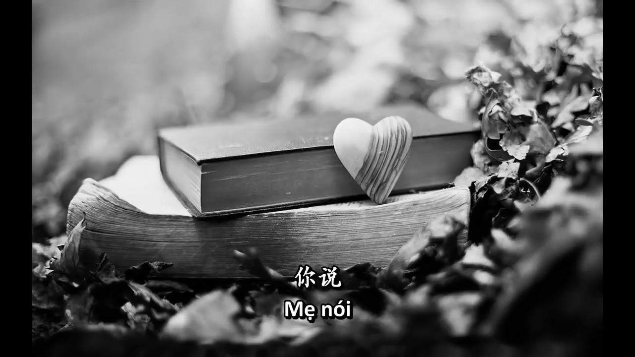 Luyện nghe tiếng Trung  Radio #6（ 一个人听   蕊希    Con thật sự nhớ mẹ, rất nhớ mẹ!