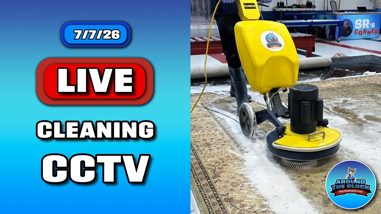 LIVE Rug Cleaning! #cleanwithme #rugwashing
