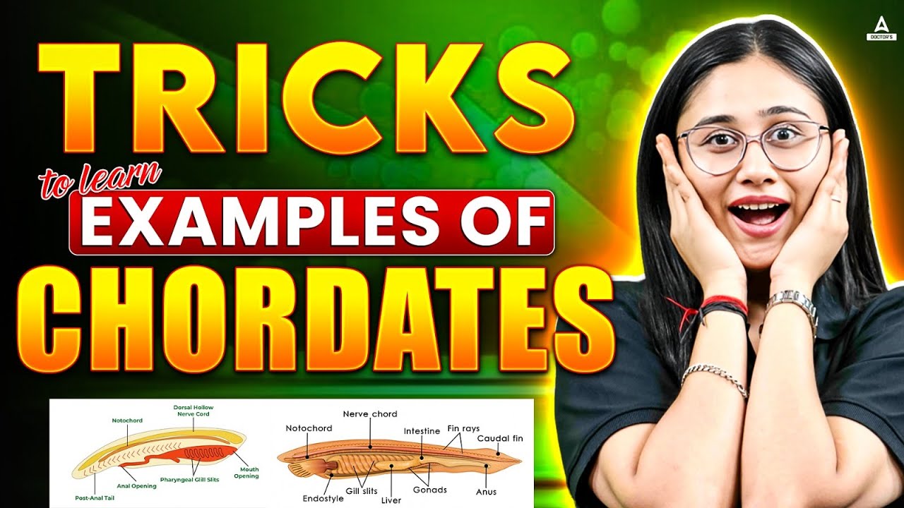 Tricks to Learn Examples of Phylum Chordata | Short Trick | Bharti Singh