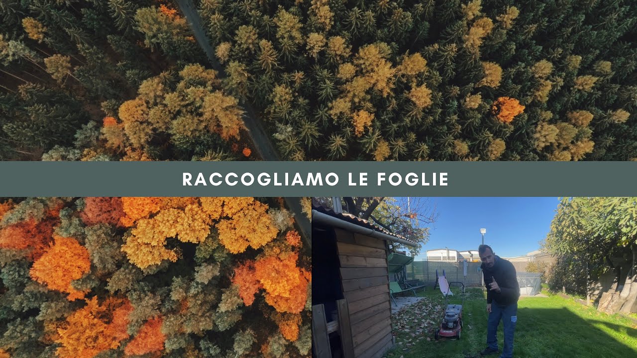 Raccolta foglie autunnali cadute sulle grondaie e sopra i tetti!!!
