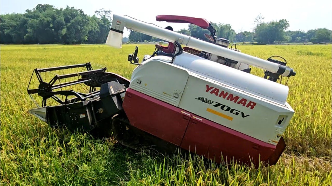 Yanmar Aw 70 Gv harvester working | New model harvester machine ||