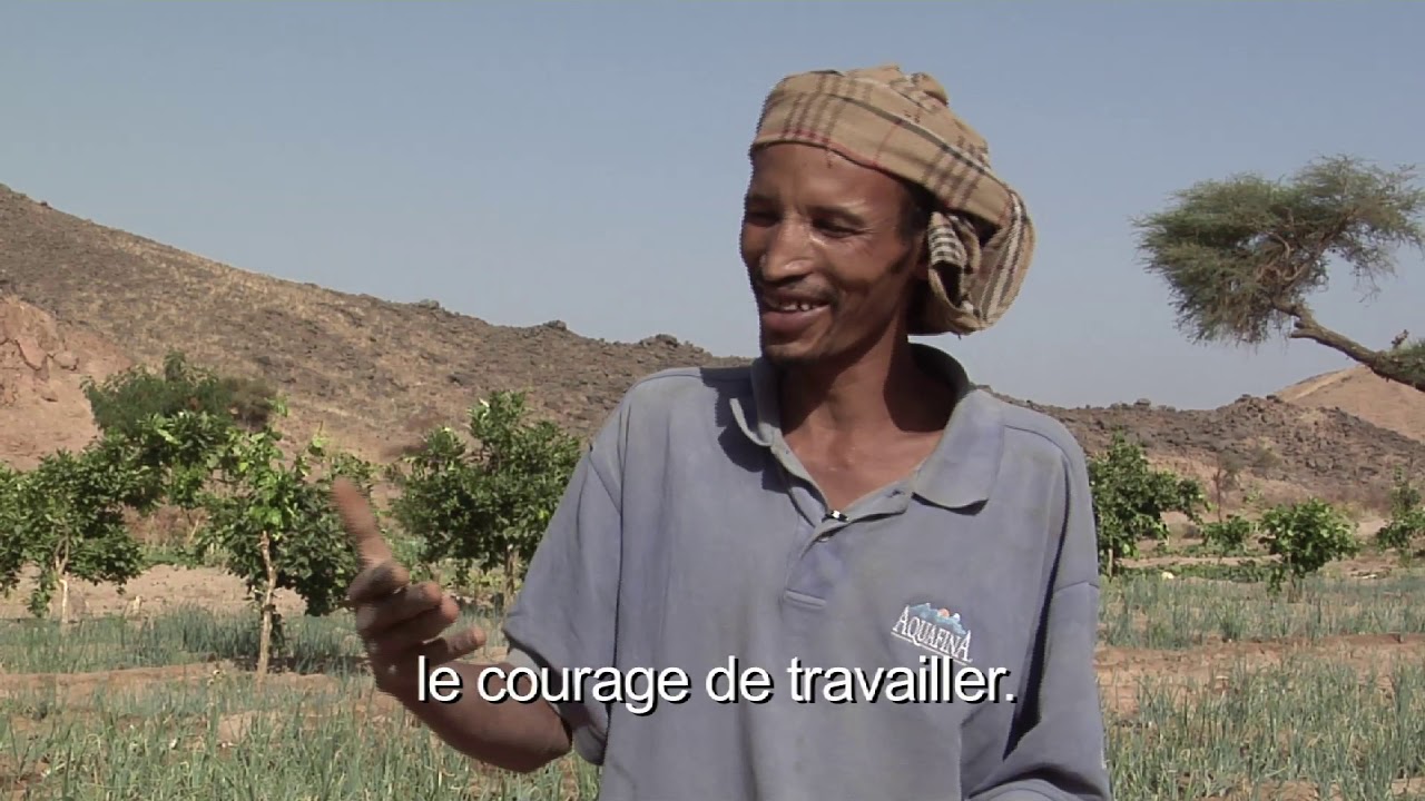 La digue de Timia