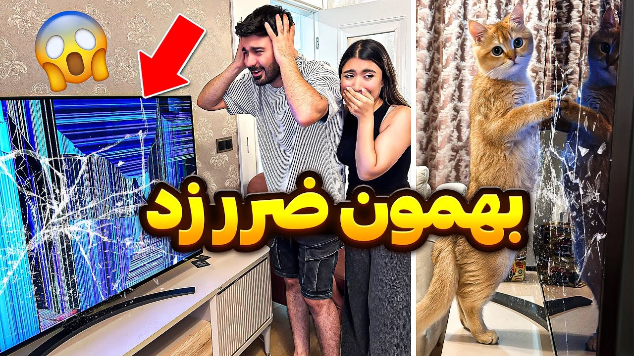 خرابکاری دارچین😨تلویزیون داغون شد😢