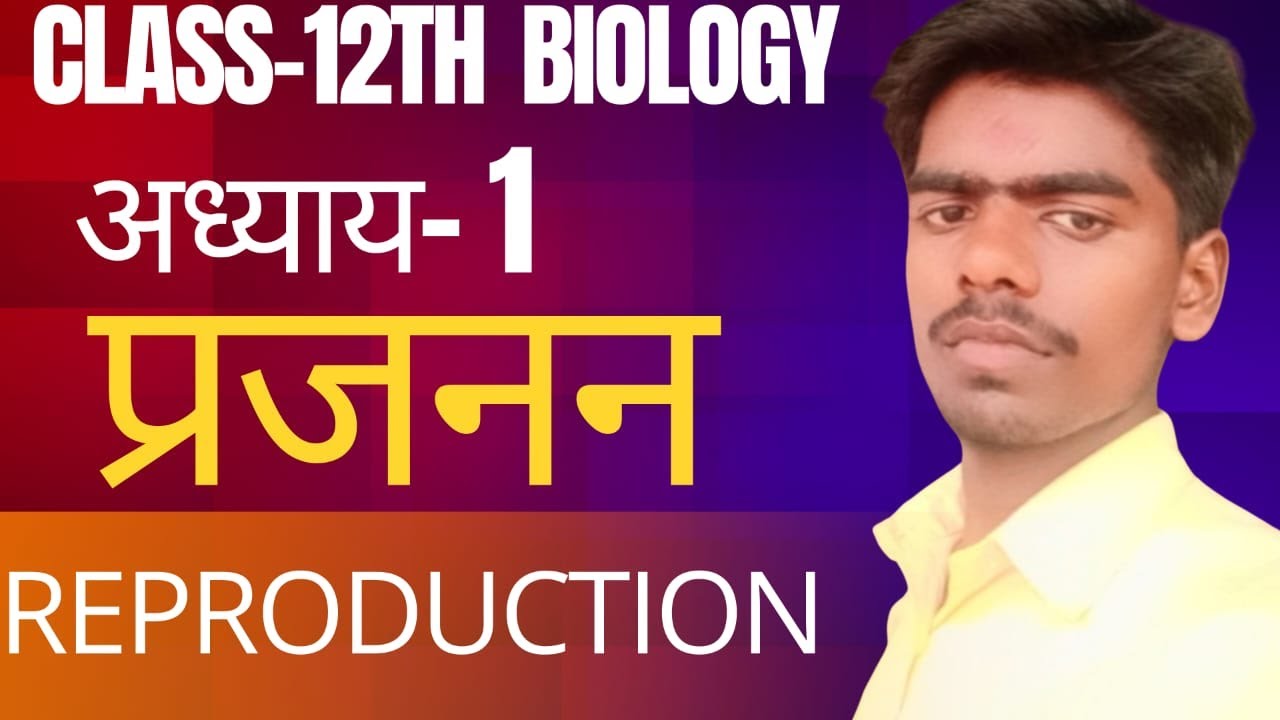 class 12th biology sexual reproduction in flowering plant By mithilesh sir