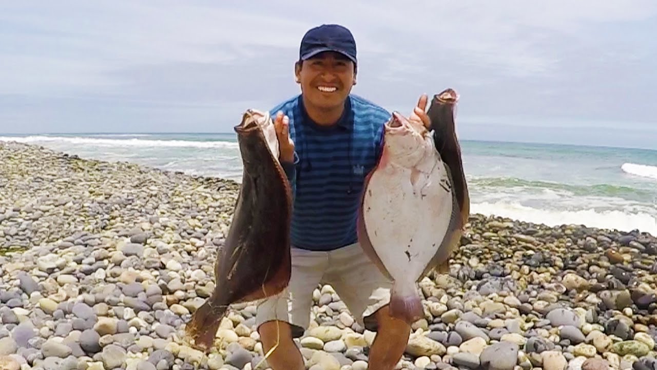La Mejor Pesca de orilla atrapando Grandes Lenguados