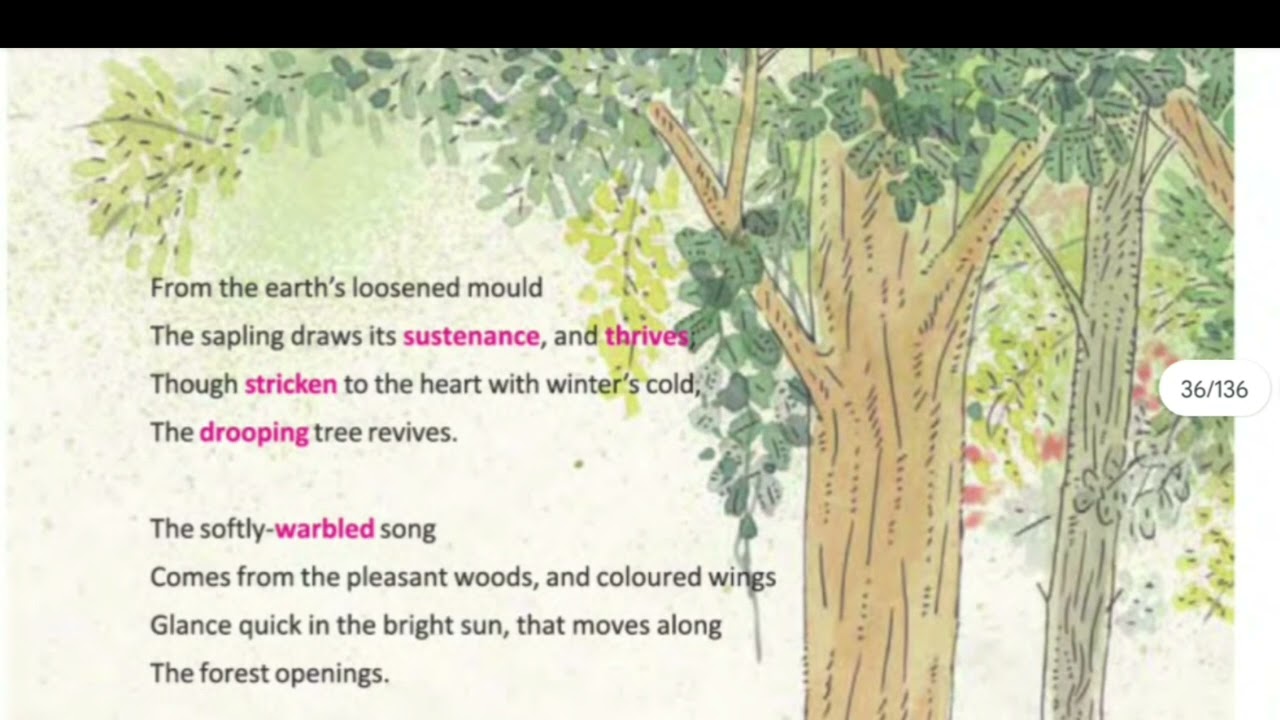 WBBSE || WB BOARD ENGLISH CLASS VIII || BLOSSOMS || AN APRIL DAY