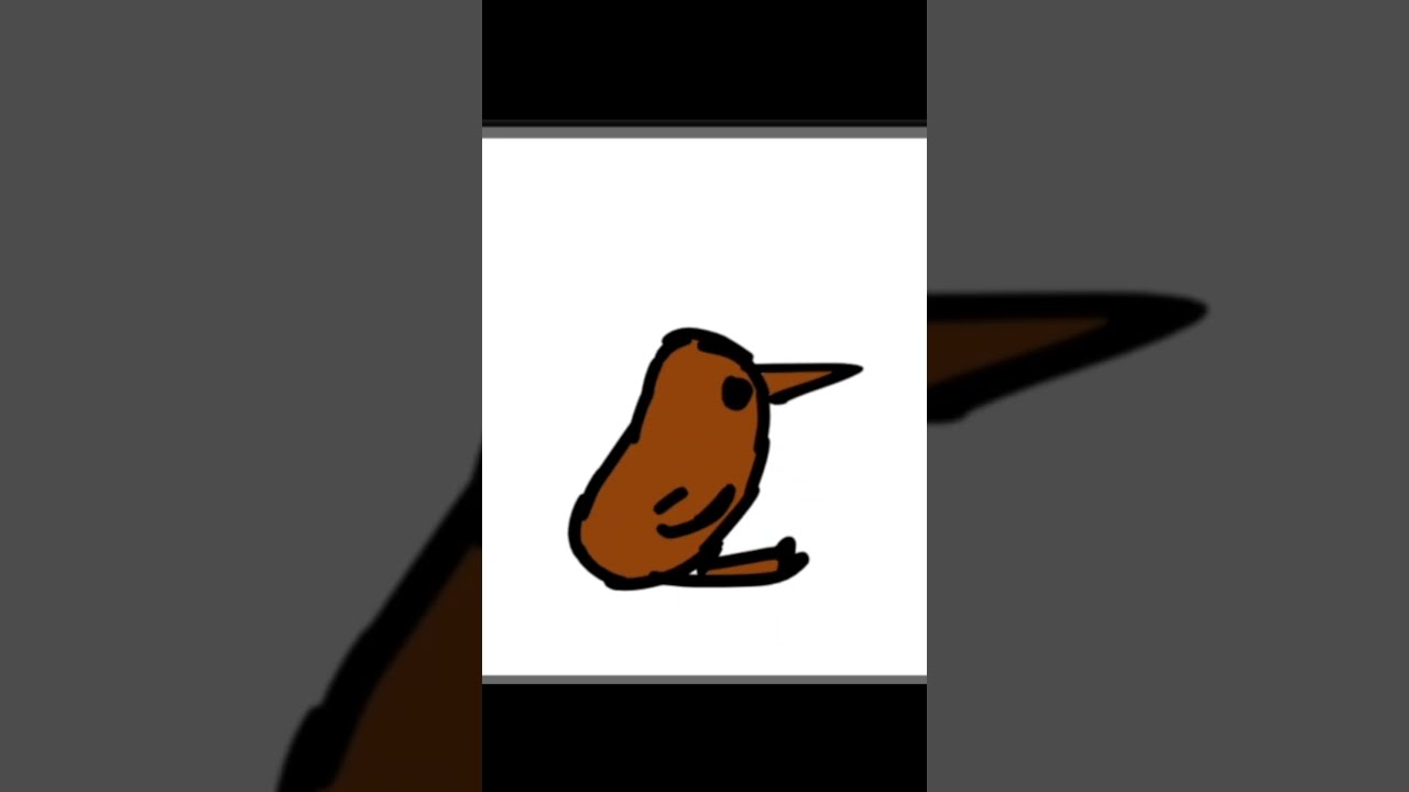 Kiwi spin.#animation #spinmeround #kiwiart #shorts #funnyanimation #simple