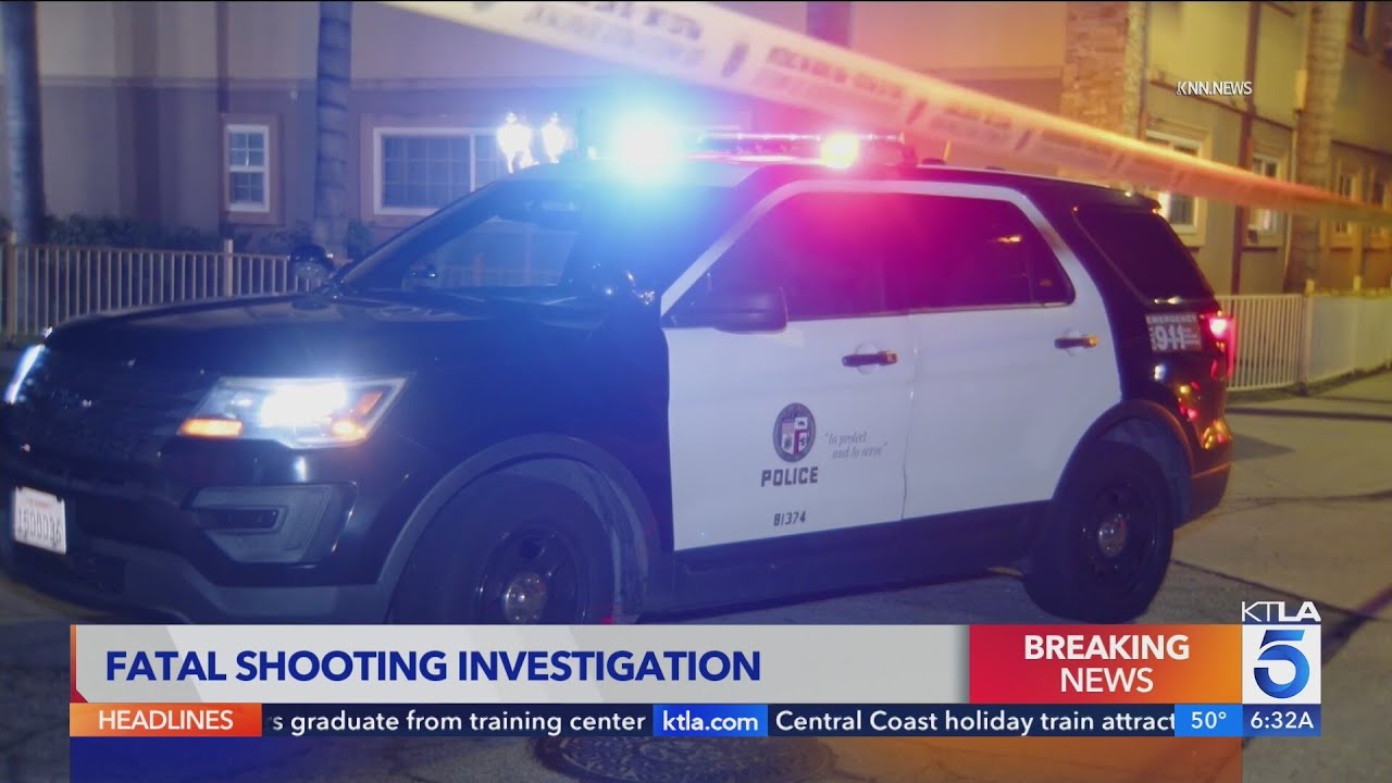 3 people in parked car shot at by unknown assailants; 20-year-old woman dead