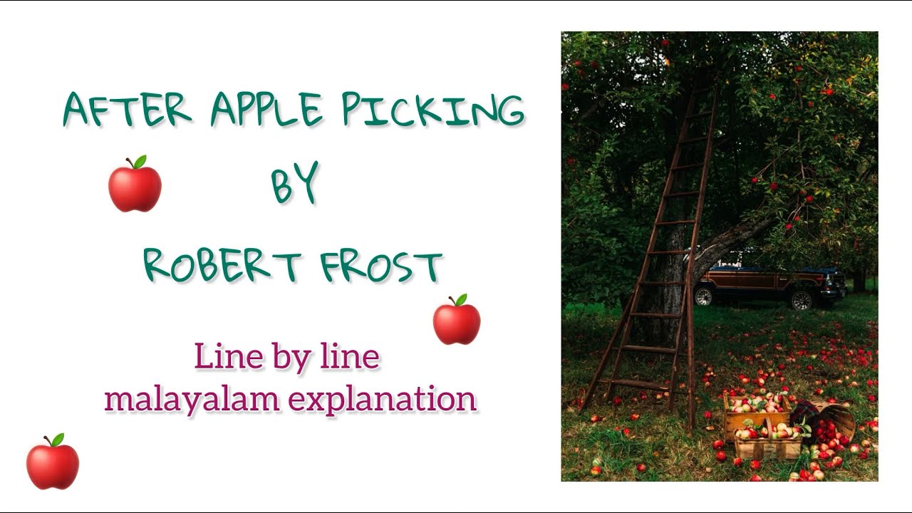 After apple picking by Robert Frost #poem #mguniversity #english #malayalamexplain