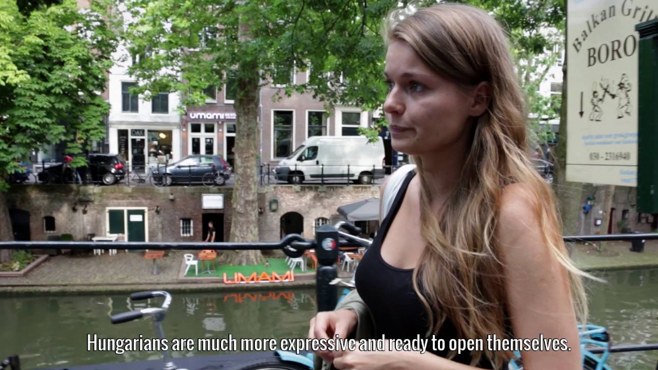 MENJEK/MARADJAK (LEAVE/STAY): A holland epizód (The Dutch Episode) (2016, ENG)