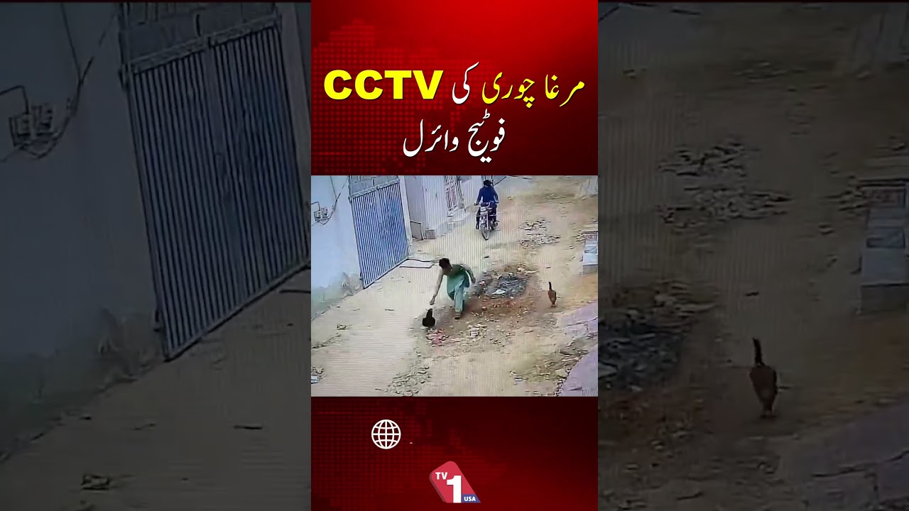 Viral CCTV Footage of Chicken Theft | TV One USA