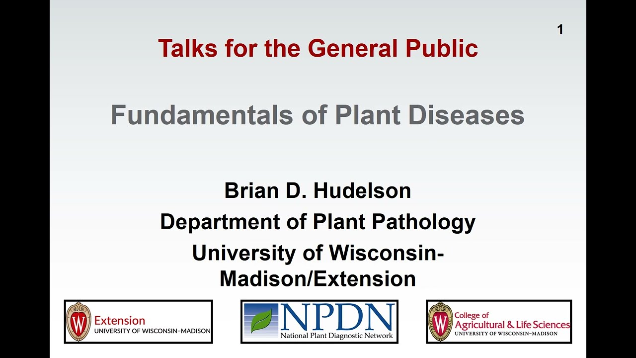 Fundamentals of Plant Diseases - Slide 1 - TITLE