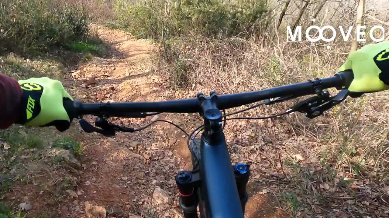 SPECIALIZED EPIC EVO EXPERT PART 2