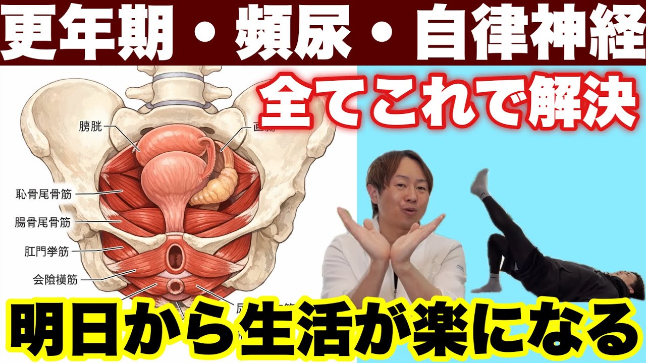 【骨盤矯正】更年期障害・頻尿をコレ一発で解消！お腹痩せもできる『骨盤底筋運動』